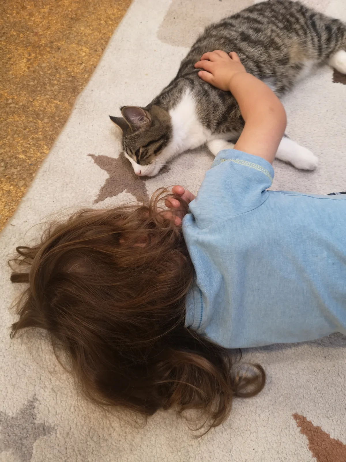 Ein Kind streichelt eine Katze.